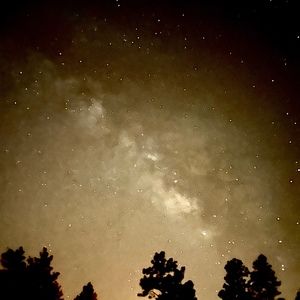 Meet your Posher, Kelton